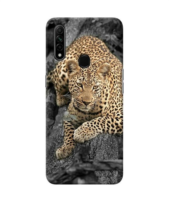 Sitting Leopard Oppo A31 Back Cover