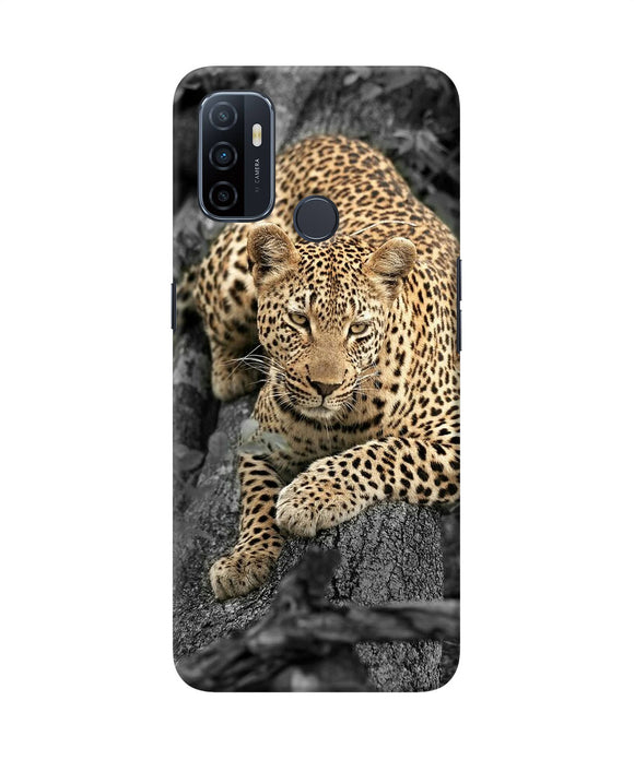 Sitting Leopard Oppo A53 2020 Back Cover