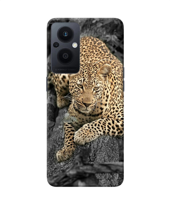 Sitting leopard Oppo F21 Pro 5G Back Cover