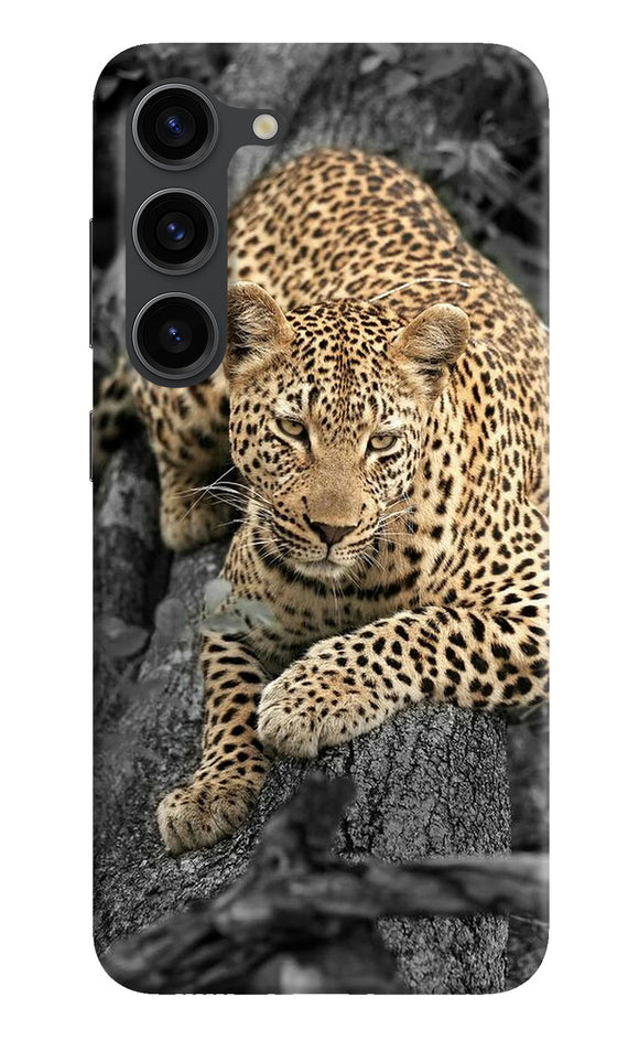 Sitting leopard Samsung S23 Plus Back Cover