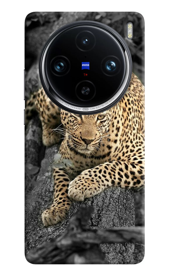 Sitting leopard Vivo X100 Pro Back Cover