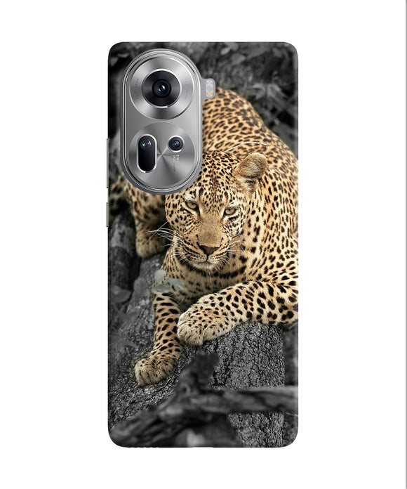 Sitting leopard Oppo Reno11 Back Cover