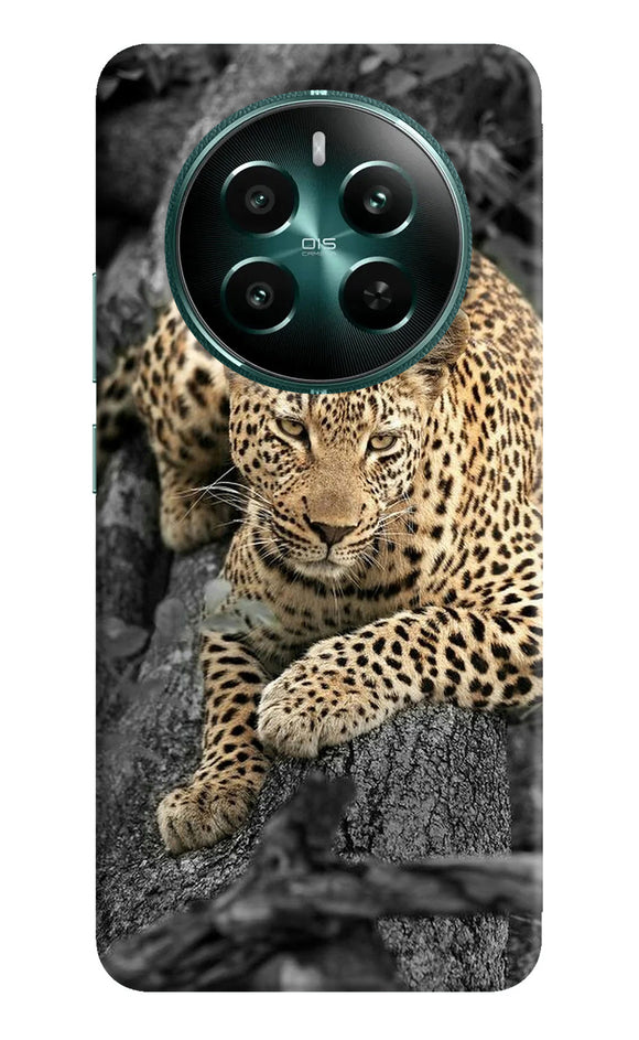 Sitting leopard Realme 12 5G Back Cover