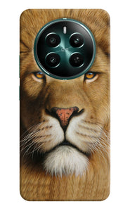 Nature lion poster Realme P1 5G Back Cover