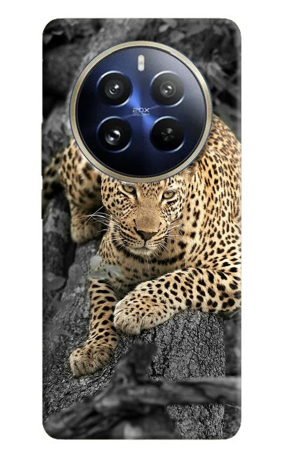 Sitting leopard Realme P1 Pro 5G Back Cover