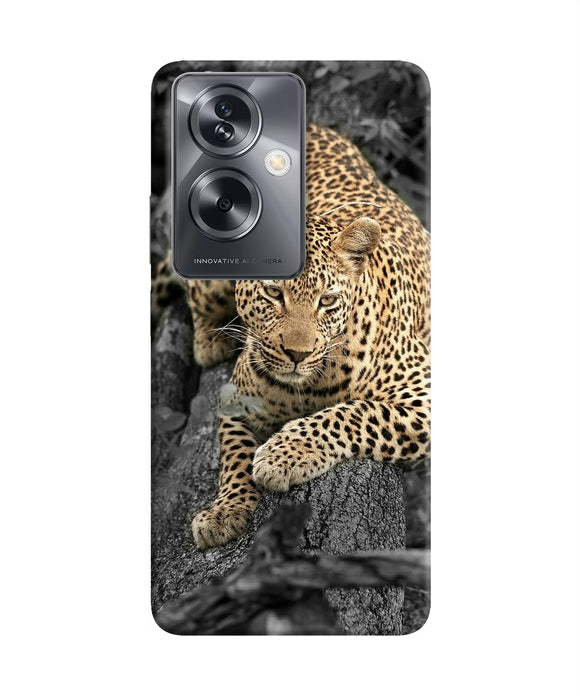 Sitting leopard Oppo A79 5G Back Cover