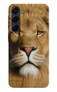 Nature lion poster Samsung A55 5G Back Cover