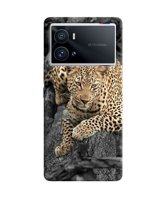 Sitting leopard iQOO 9 Pro 5G Back Cover