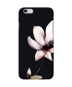 Flower White Iphone 6 / 6s Back Cover