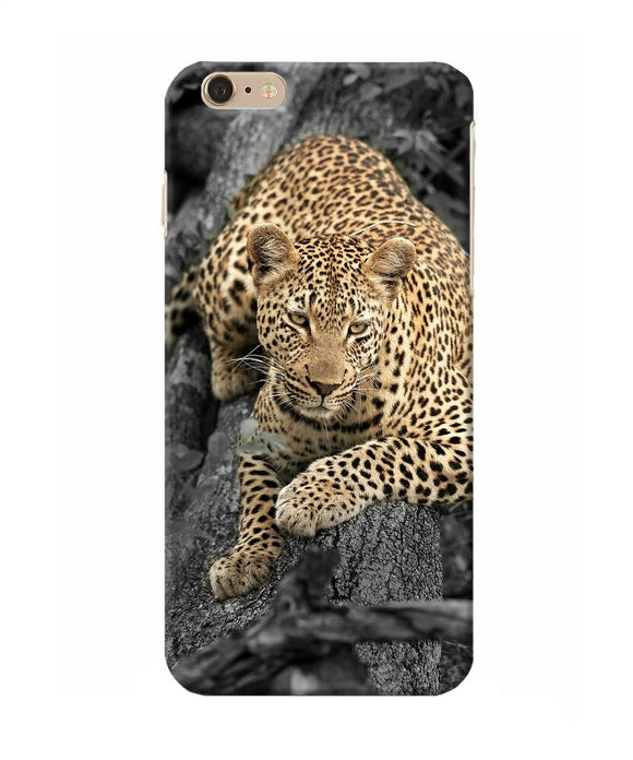 Sitting Leopard Iphone 6 Plus Back Cover