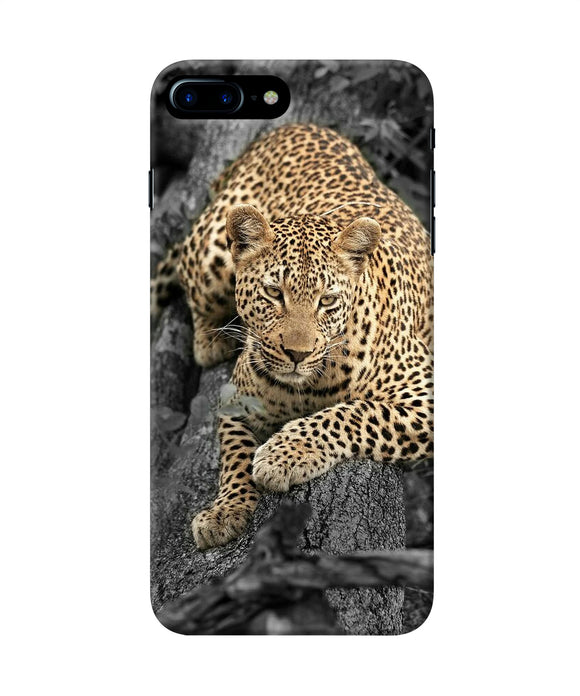 Sitting Leopard Iphone 8 Plus Back Cover