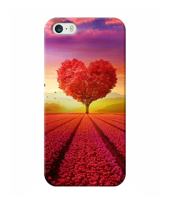 Natural Heart Tree Iphone 5 / 5s Back Cover