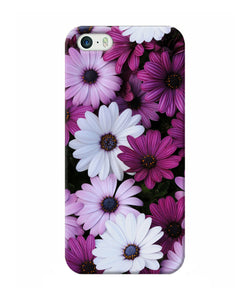 White Violet Flowers Iphone 5 / 5s Back Cover