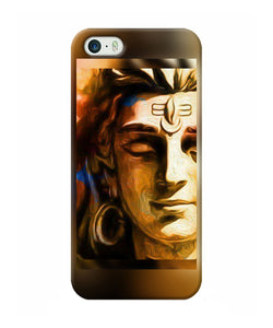 Shiva Painting Iphone 5 / 5s Back Cover