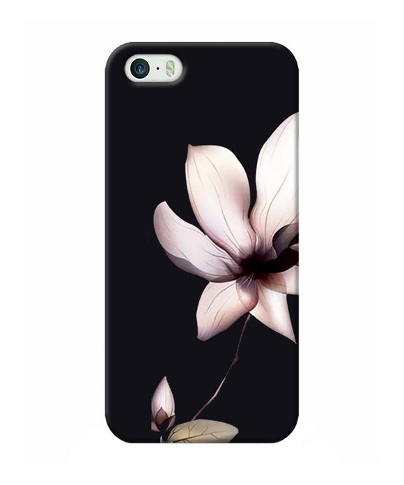 Flower White Iphone 5 / 5s Back Cover
