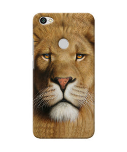 Nature Lion Poster Redmi Y1 Back Cover