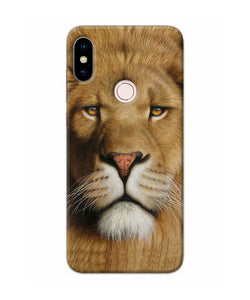 Nature Lion Poster Redmi Note 5 Pro Back Cover