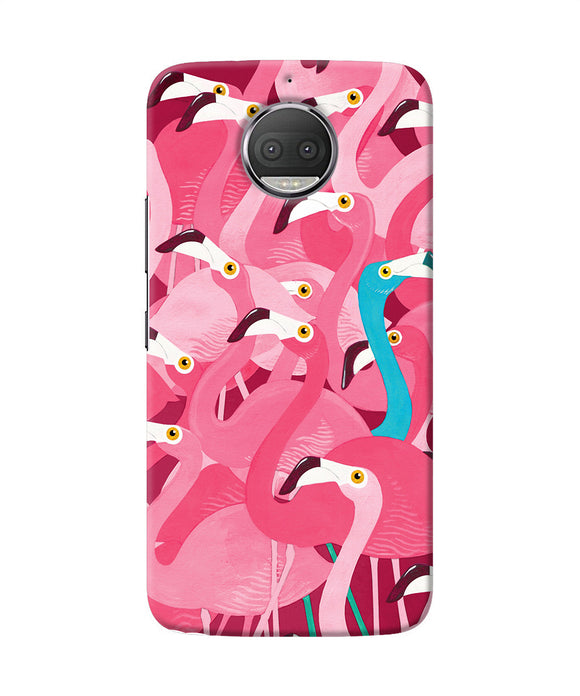 Abstract Sheer Bird Pink Print Moto G5s Plus Back Cover