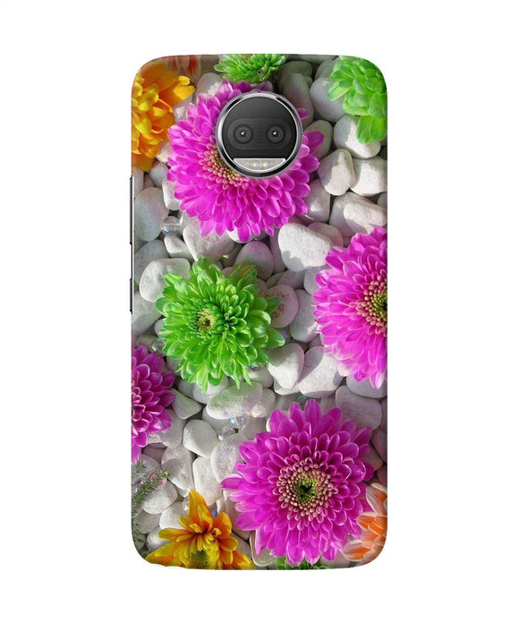 Natural Flower Stones Moto G5s Plus Back Cover