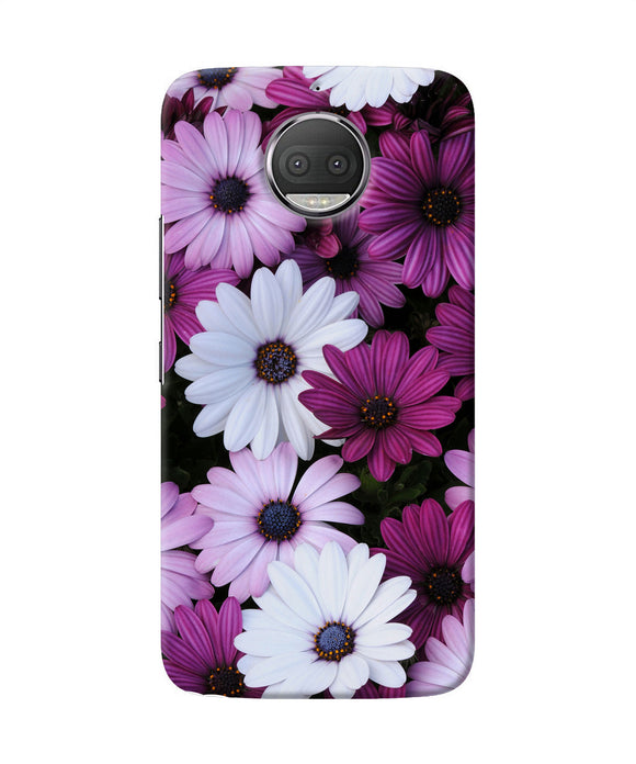 White Violet Flowers Moto G5s Plus Back Cover
