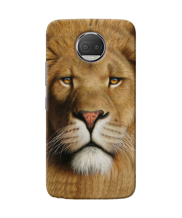 Nature Lion Poster Moto G5s Plus Back Cover