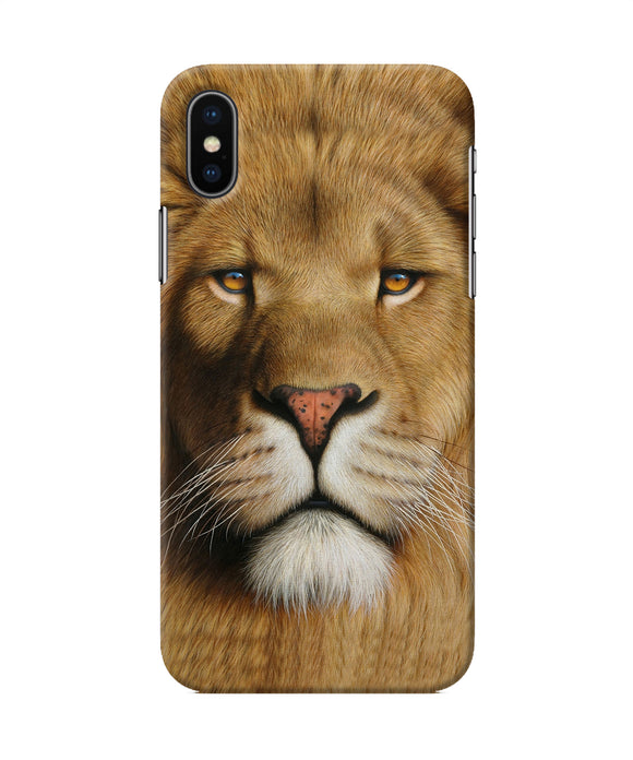 Nature Lion Poster Iphone X Back Cover