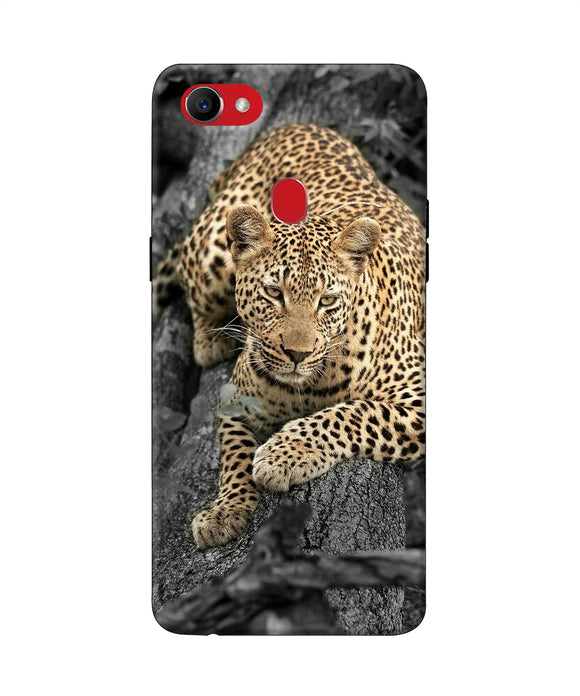 Sitting Leopard Oppo F7 Back Cover