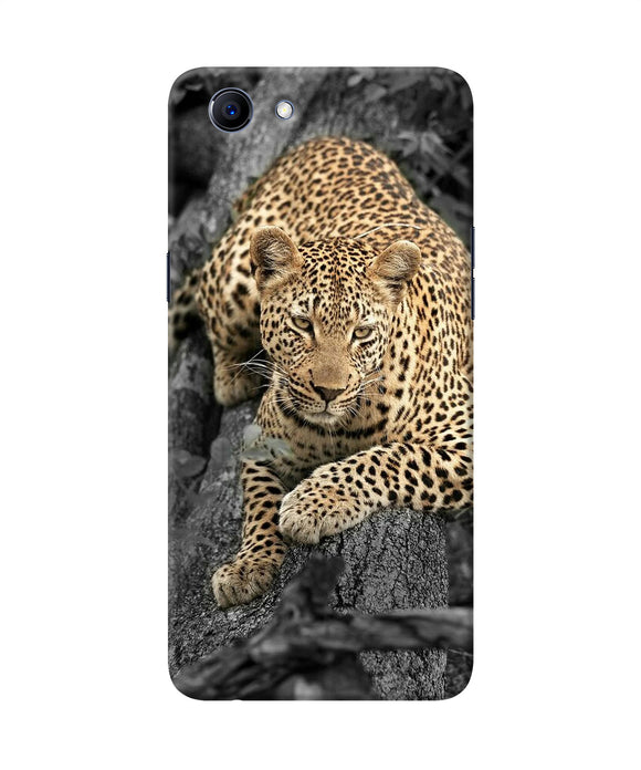 Sitting Leopard Realme 1 Back Cover