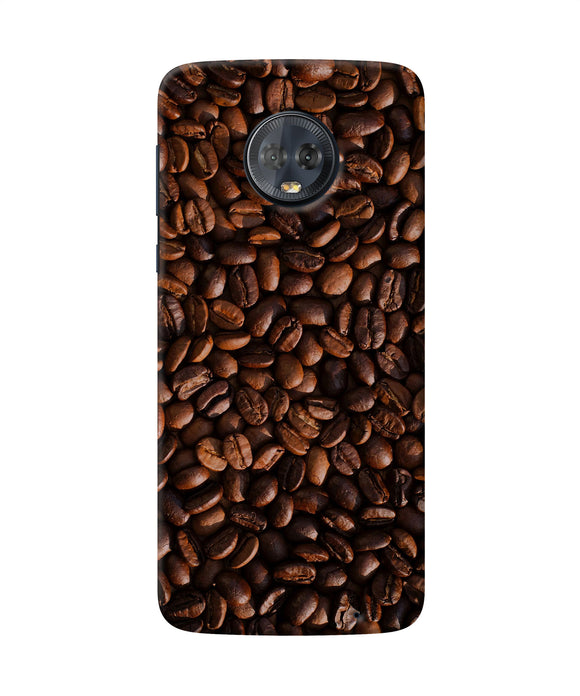 Coffee Beans Moto G6 Back Cover