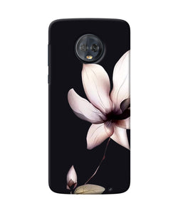 Flower White Moto G6 Back Cover