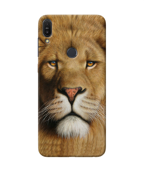 Nature Lion Poster Asus Zenfone Max Pro M1 Back Cover