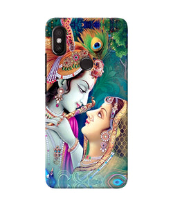 Lord Radha Krishna Paint Redmi Y2 Back Cover