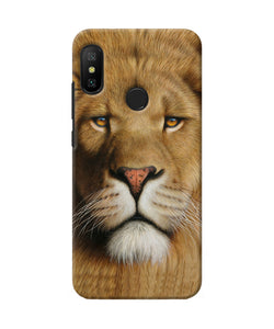 Nature Lion Poster Redmi 6 Pro Back Cover