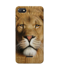 Nature Lion Poster Redmi 6a Back Cover