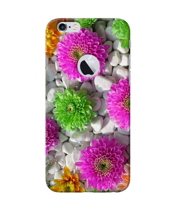 Natural Flower Stones Iphone 6 Logocut Back Cover