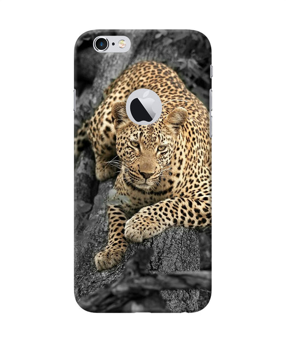 Sitting Leopard Iphone 6 Logocut Back Cover