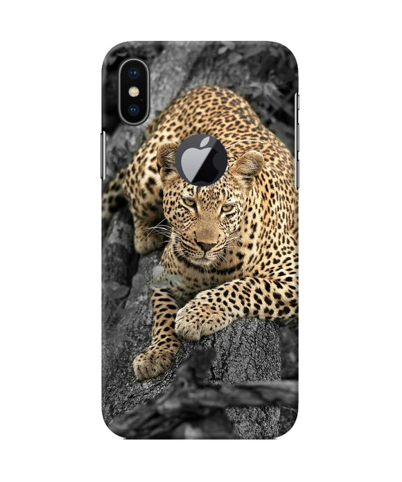 Sitting Leopard Iphone X Logocut Back Cover