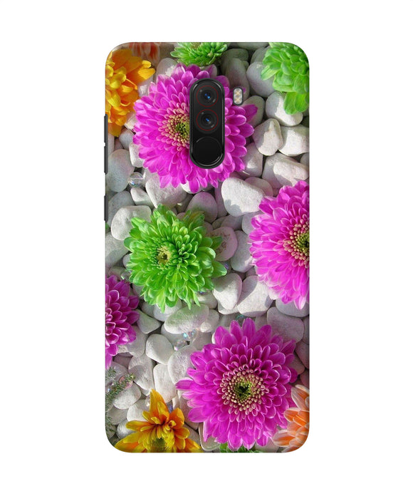 Natural Flower Stones Poco F1 Back Cover