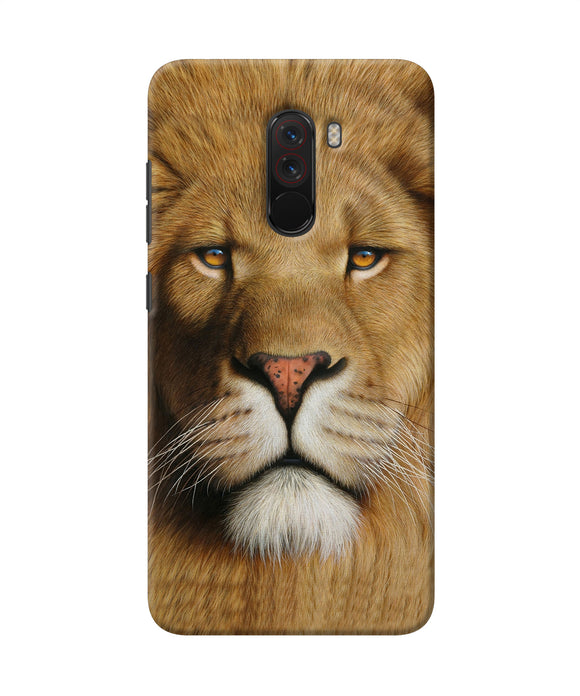 Nature Lion Poster Poco F1 Back Cover
