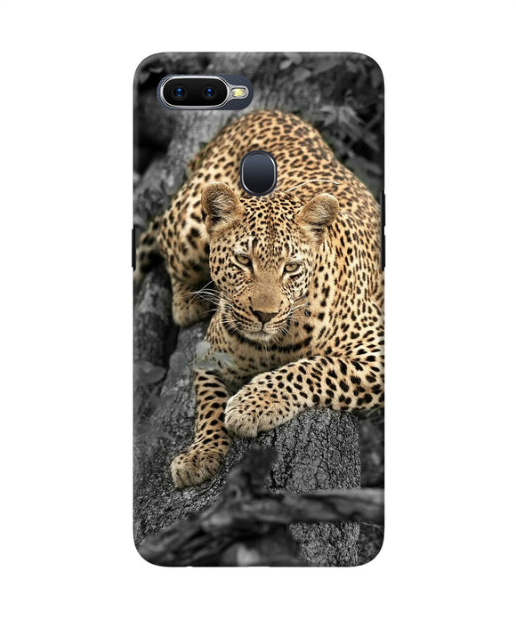 Sitting Leopard Oppo F9 / F9 Pro Back Cover