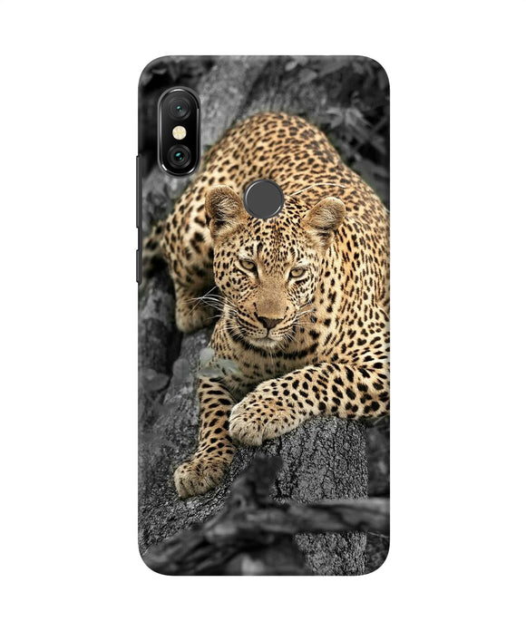 Sitting Leopard Redmi Note 6 Pro Back Cover