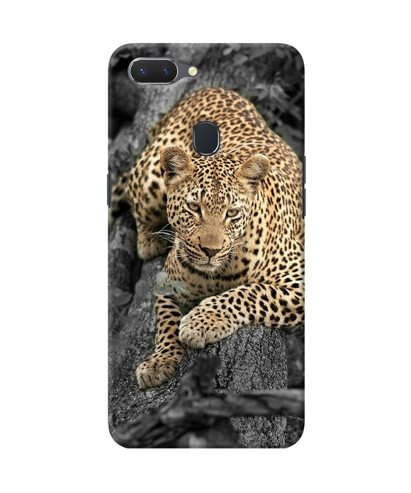Sitting Leopard Realme 2 Back Cover