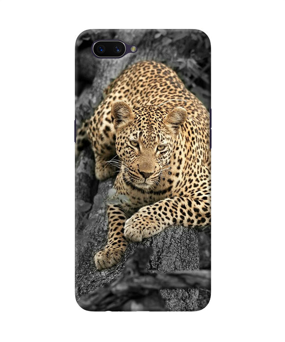 Sitting Leopard Oppo A3s Back Cover