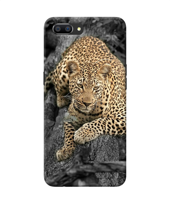 Sitting Leopard Realme C1 Back Cover