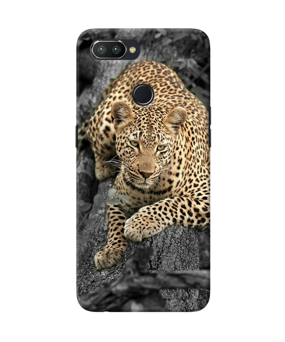 Sitting Leopard Realme U1 Back Cover