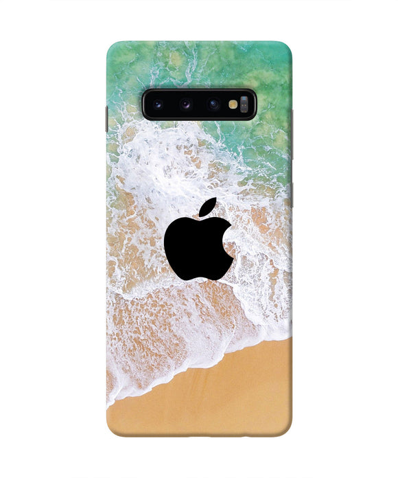 Apple Ocean Samsung S10 Plus Real 4D Back Cover
