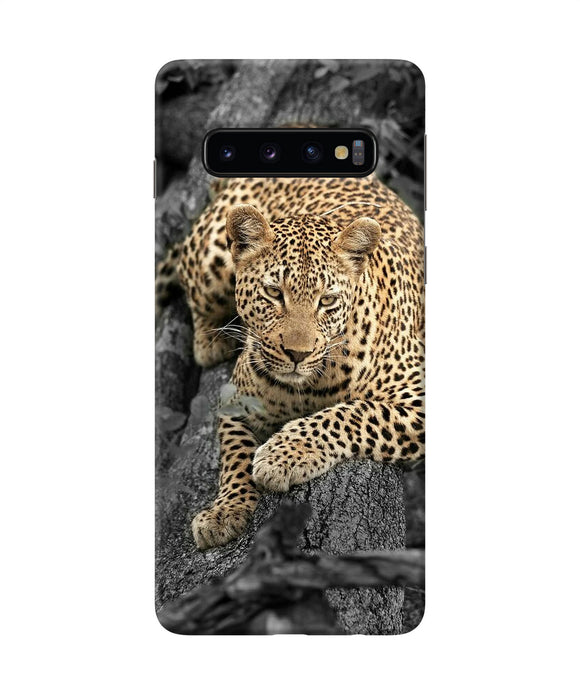 Sitting Leopard Samsung S10 Back Cover