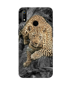 Sitting Leopard Realme 3 Back Cover