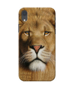 Nature Lion Poster Iphone Xr Back Cover