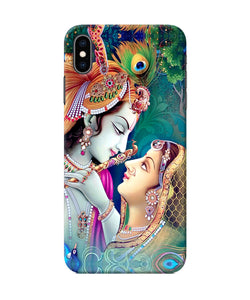 Lord Radha Krishna Paint Iphone Xs Max Back Cover